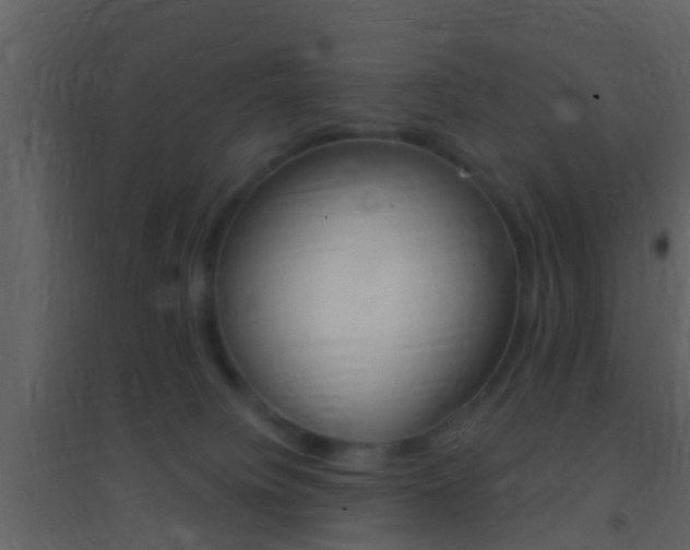 X0000095530084200712140944