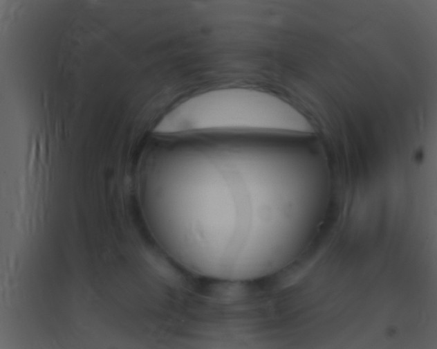 X0000095530085200712140944