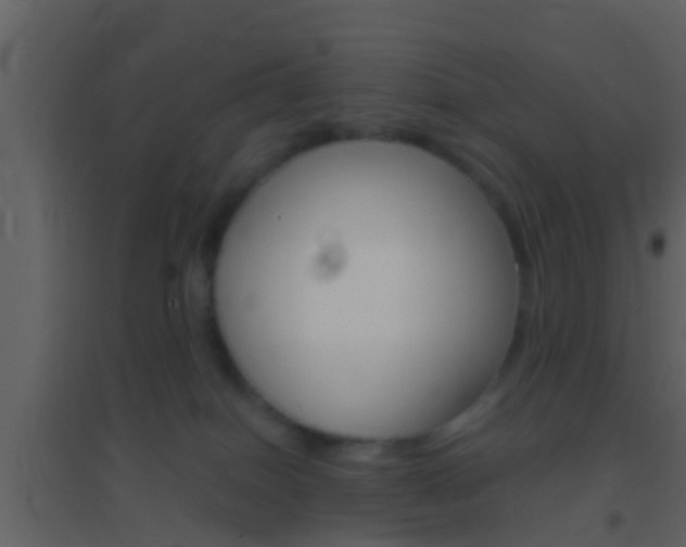 X0000095530086200712140944