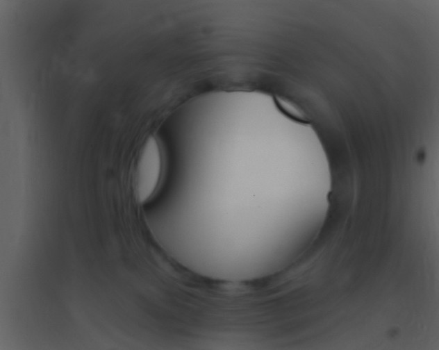 X0000095530087200712140944