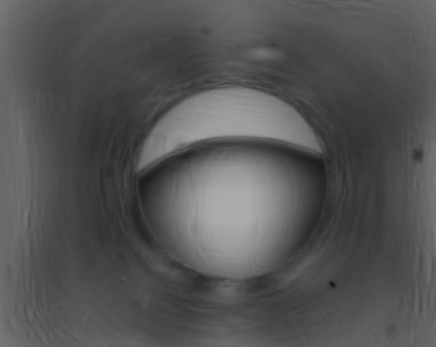 X0000095530088200712140944