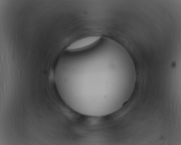 X0000095530089200712140944