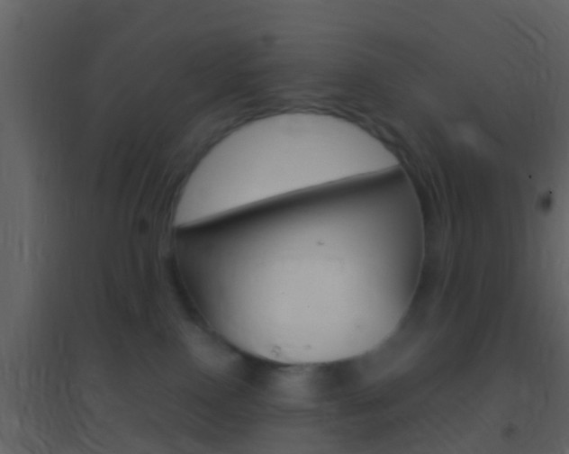 X0000095530090200712140944