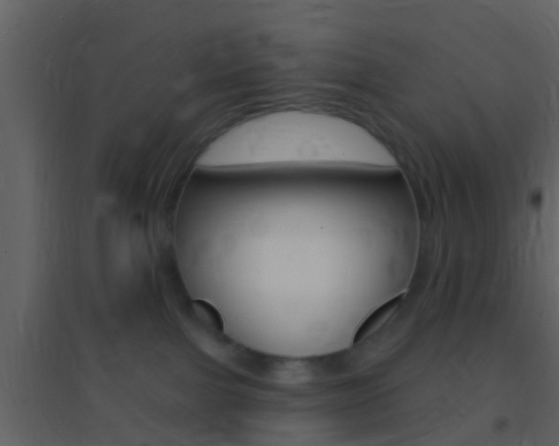 X0000095530091200712140944