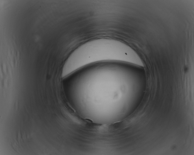 X0000095530092200712140944