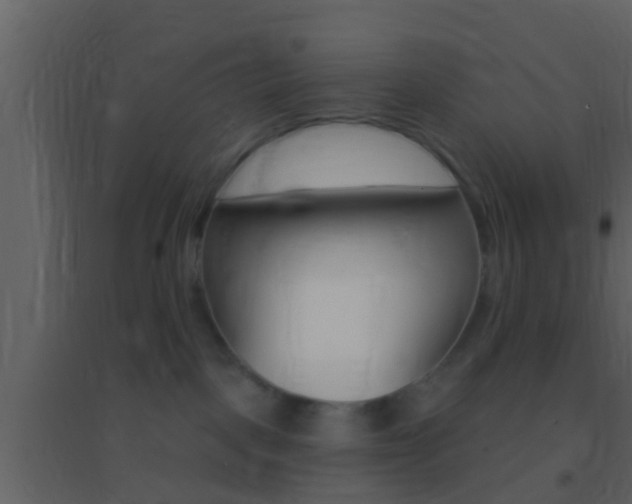 X0000095530093200712140944