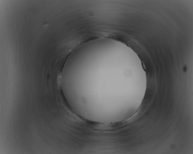 X0000095530094200712140944