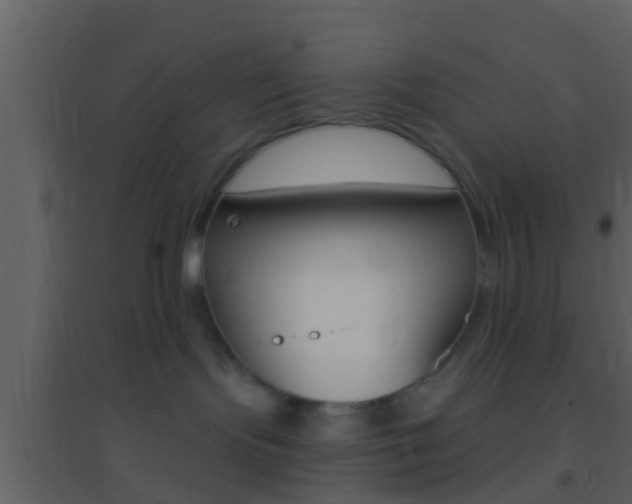 X0000095530095200712140944