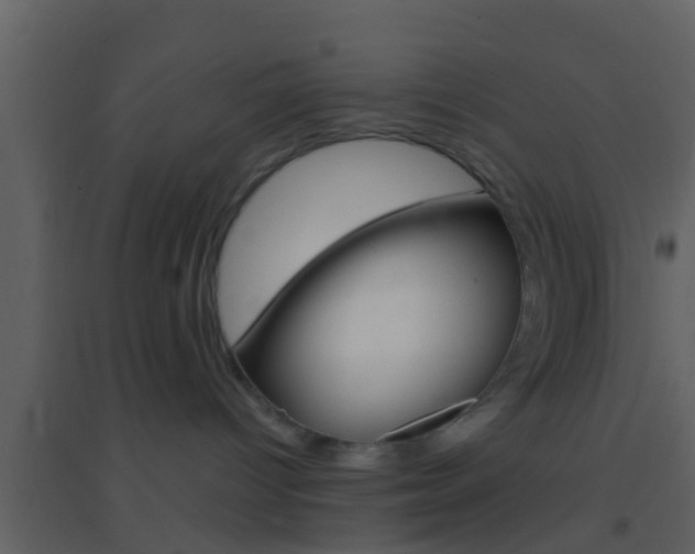 X0000095530096200712140944