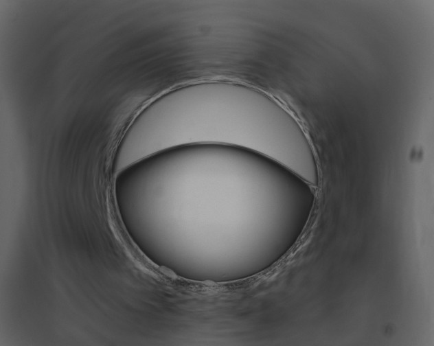 X0000095530097200712140944