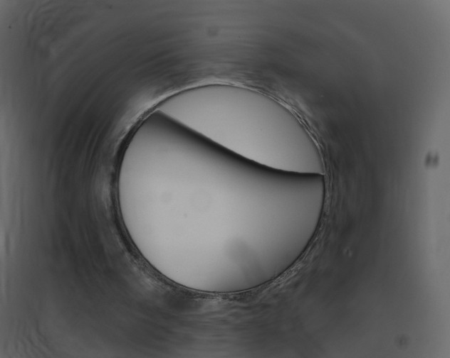 X0000095530098200712140944