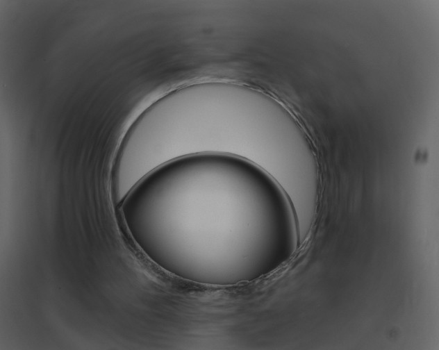 X0000095530100200712140944