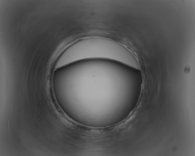 X0000095530101200712140944