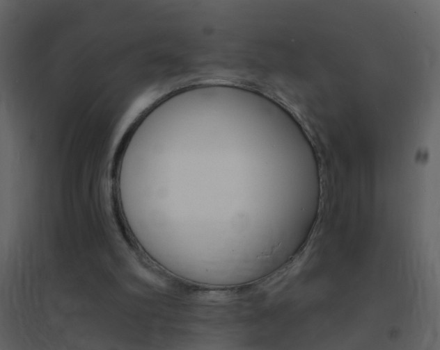 X0000095530102200712140944