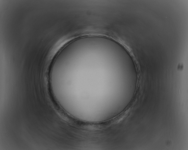 X0000095530103200712140944