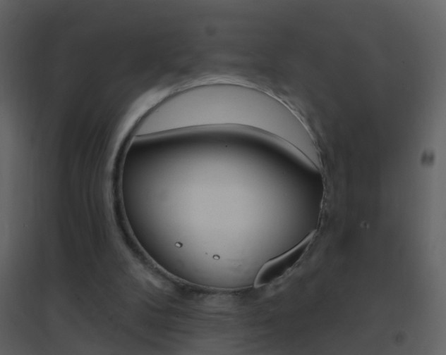 X0000095530104200712140944