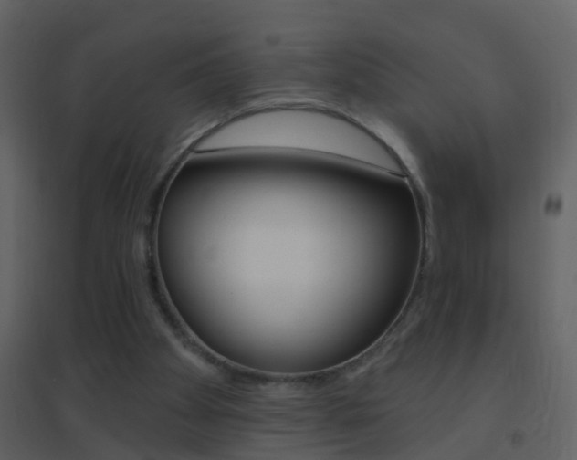 X0000095530105200712140943