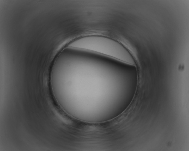 X0000095530107200712140943