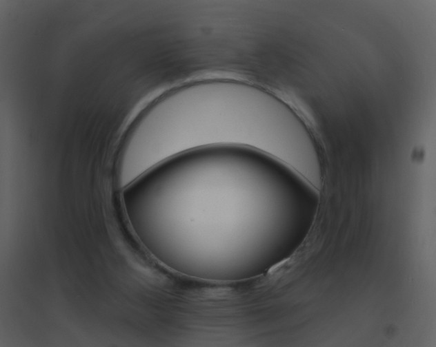 X0000095530108200712140943