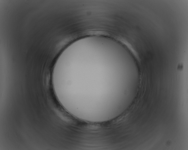 X0000095530110200712140943