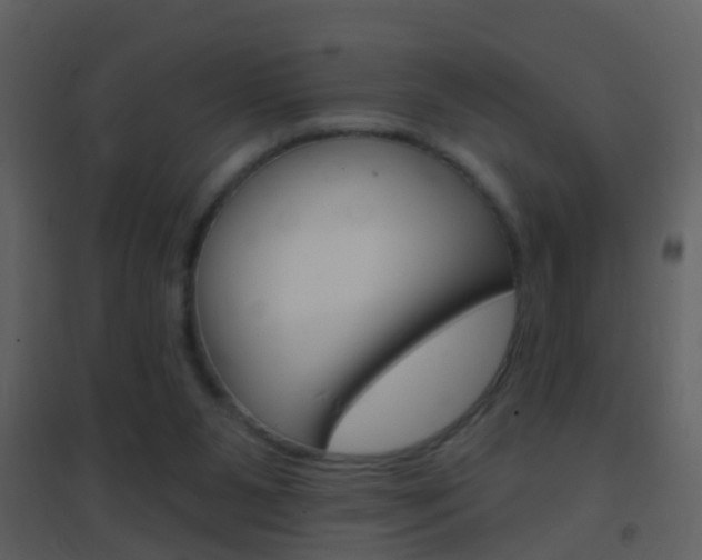 X0000095530111200712140943