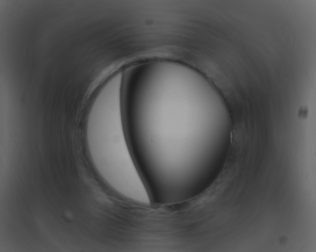 X0000095530112200712140943