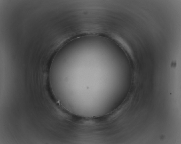 X0000095530113200712140943