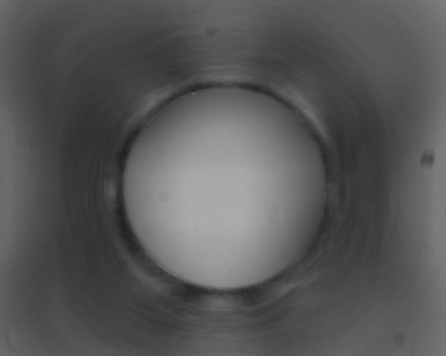 X0000095530115200712140943