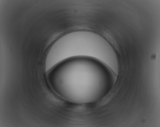 X0000095530116200712140943