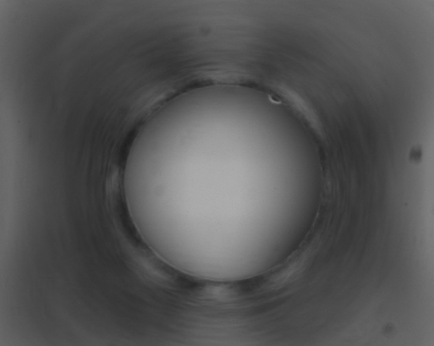 X0000095530117200712140943