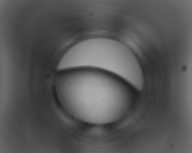 X0000095530119200712140943