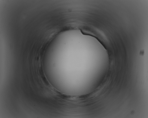 X0000095530121200712140943
