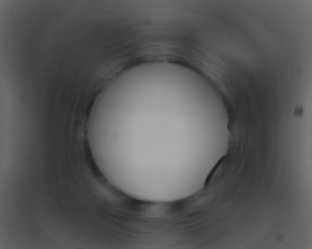 X0000095530122200712140943