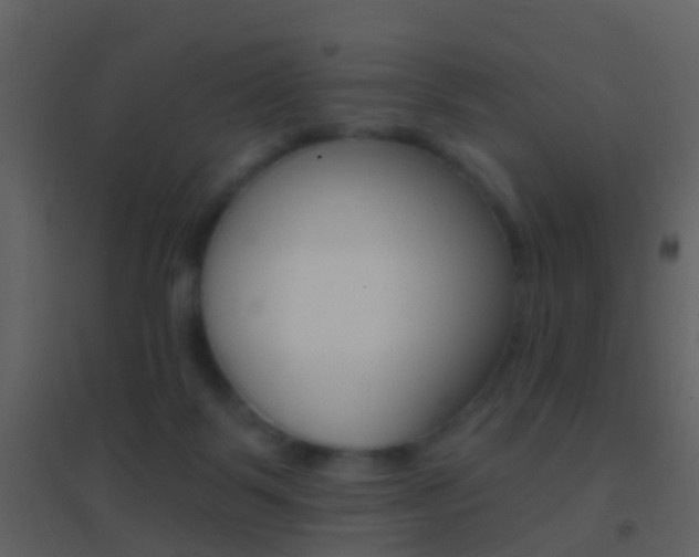 X0000095530123200712140943