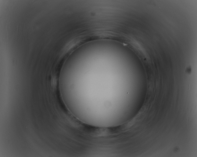 X0000095530124200712140943