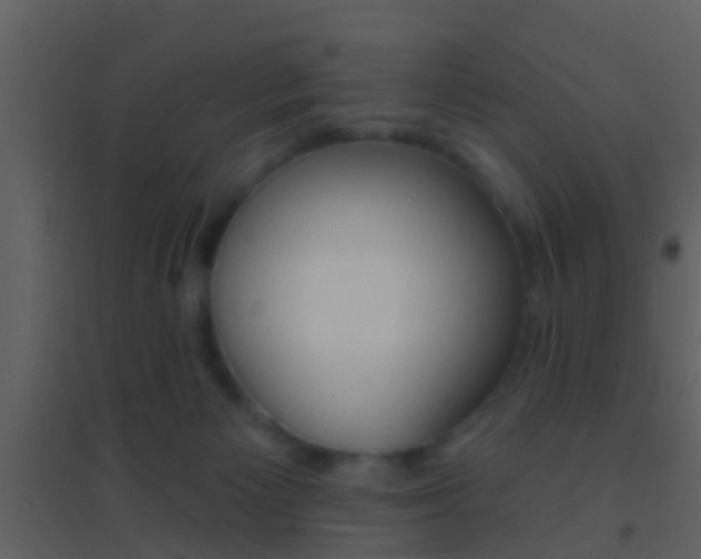 X0000095530125200712140943