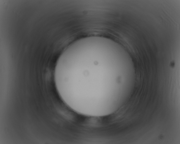 X0000095530126200712140943
