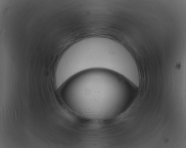 X0000095530128200712140943
