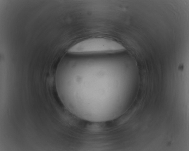 X0000095530129200712140943