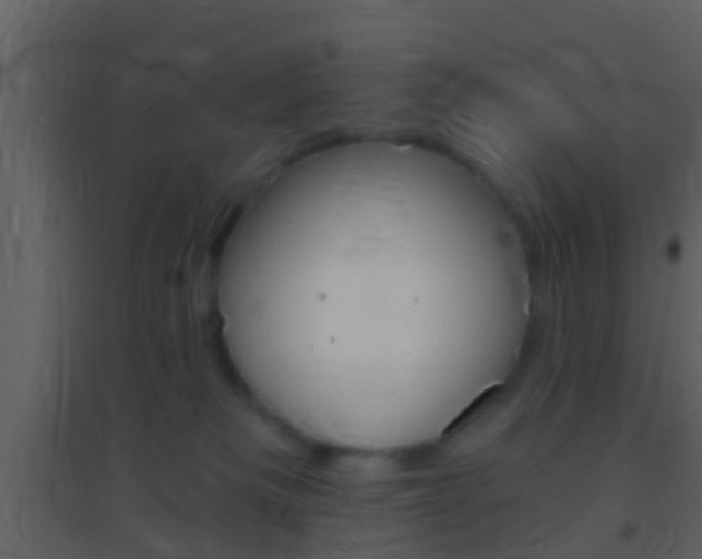 X0000095530133200712140943