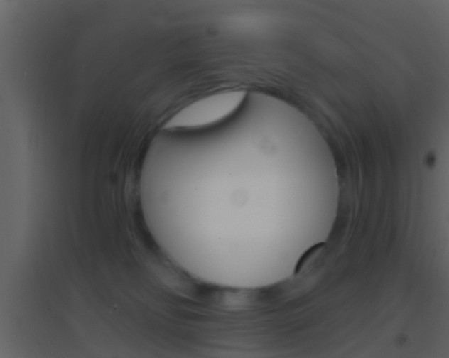 X0000095530134200712140943