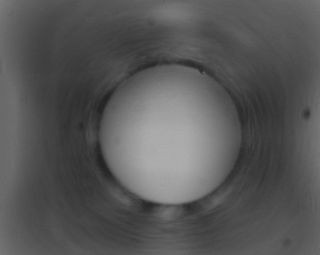 X0000095530135200712140943