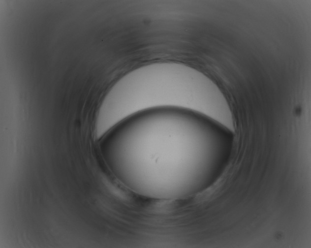 X0000095530136200712140943