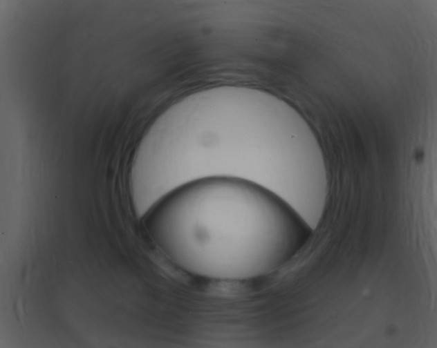 X0000095530137200712140943