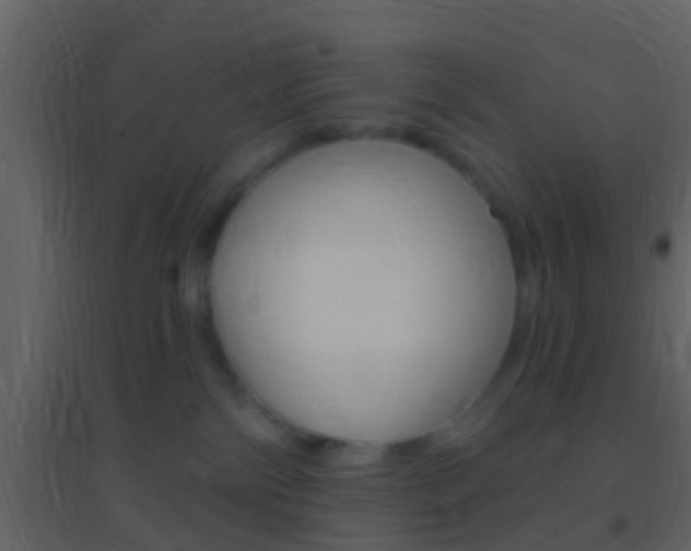 X0000095530138200712140943