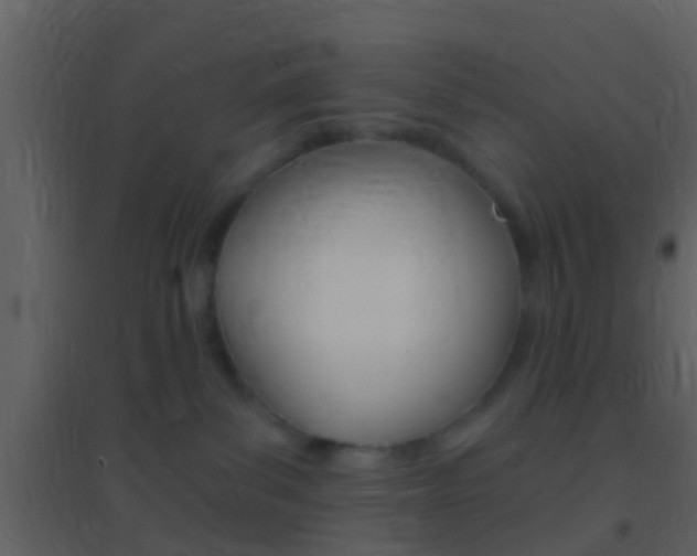 X0000095530139200712140943