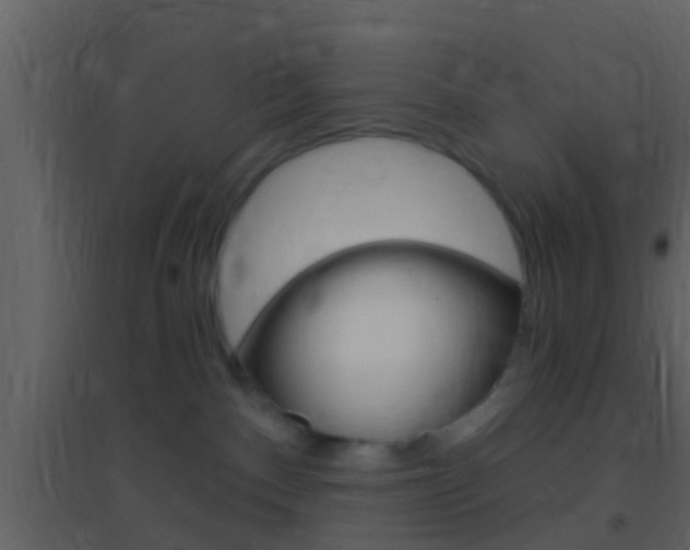 X0000095530140200712140943