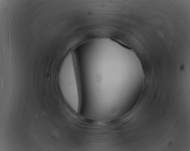 X0000095530141200712140943