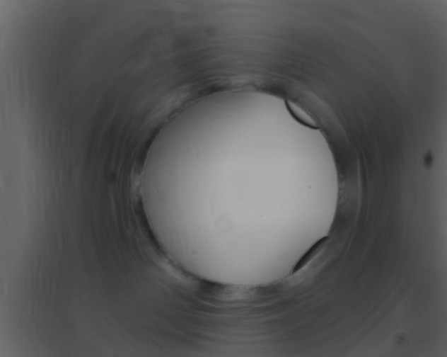 X0000095530142200712140943