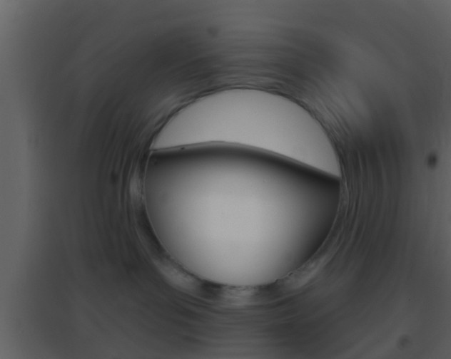 X0000095530143200712140943